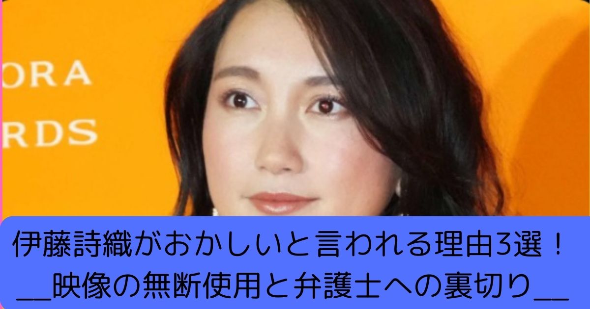 伊藤詩織がおかしいと言われる理由3選！映像の無断使用と弁護士への裏切り